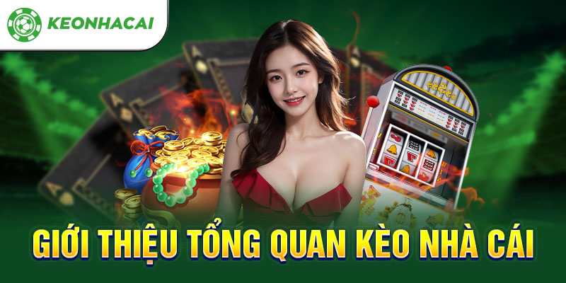 Giới thiệu tổng quan về keonhacai