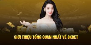 Tổng quan chung về nhà cái 8Kbet